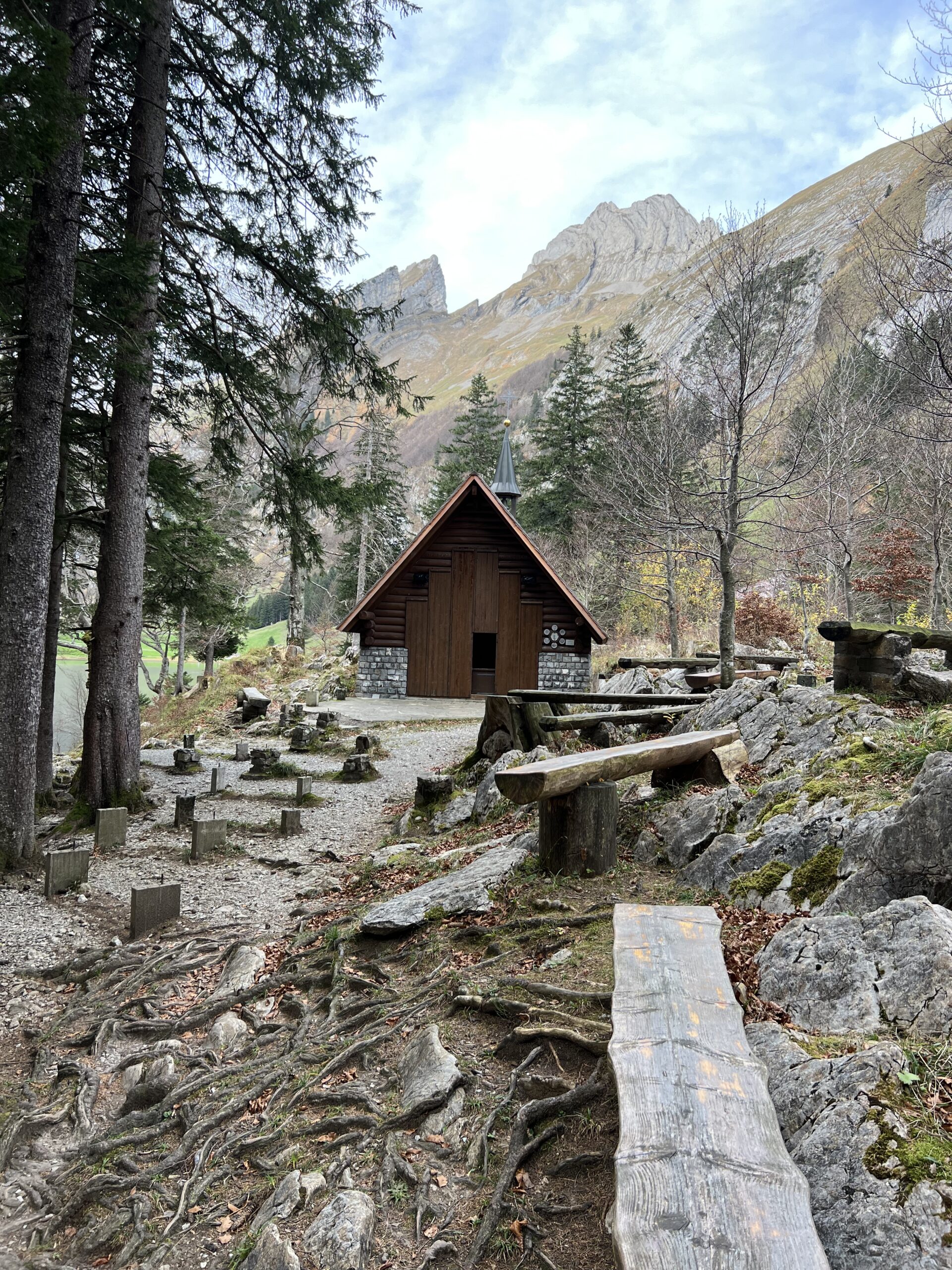 Gegen wen hege ich Groll? – Die Schatten der Unehrlichkeit